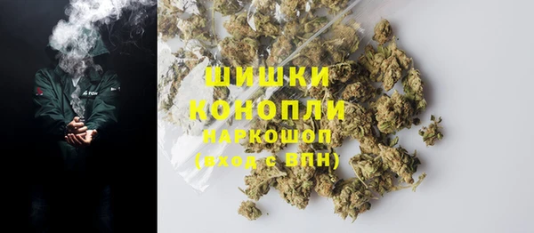 PSILOCYBIN Лагань