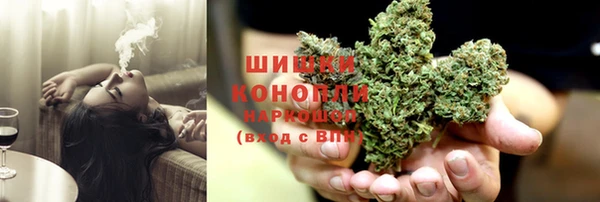 PSILOCYBIN Лагань