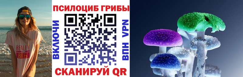 Галлюциногенные грибы Magic Shrooms  купить наркоту  Няндома 